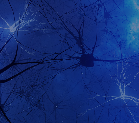 Neural connections