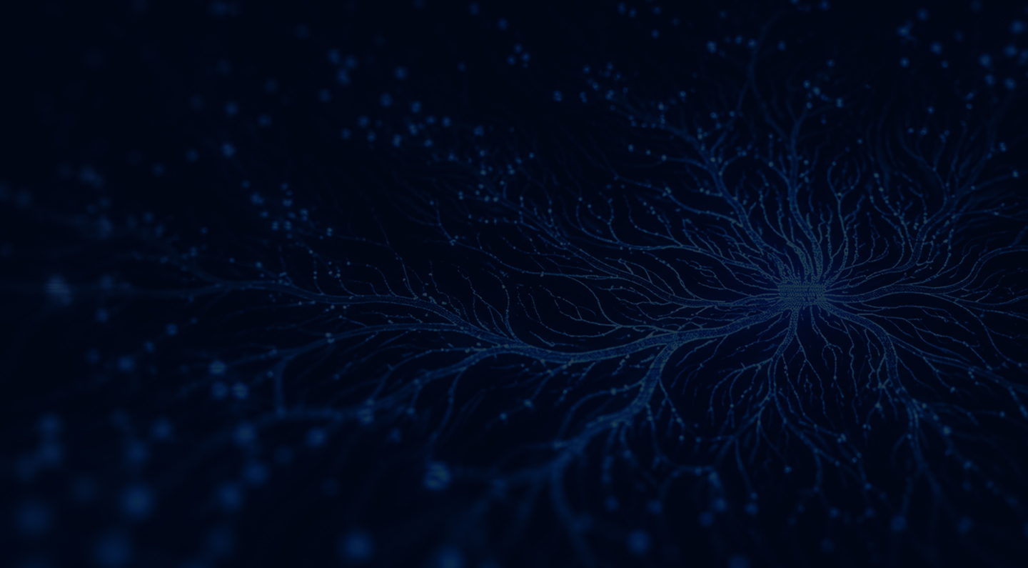 Neural network