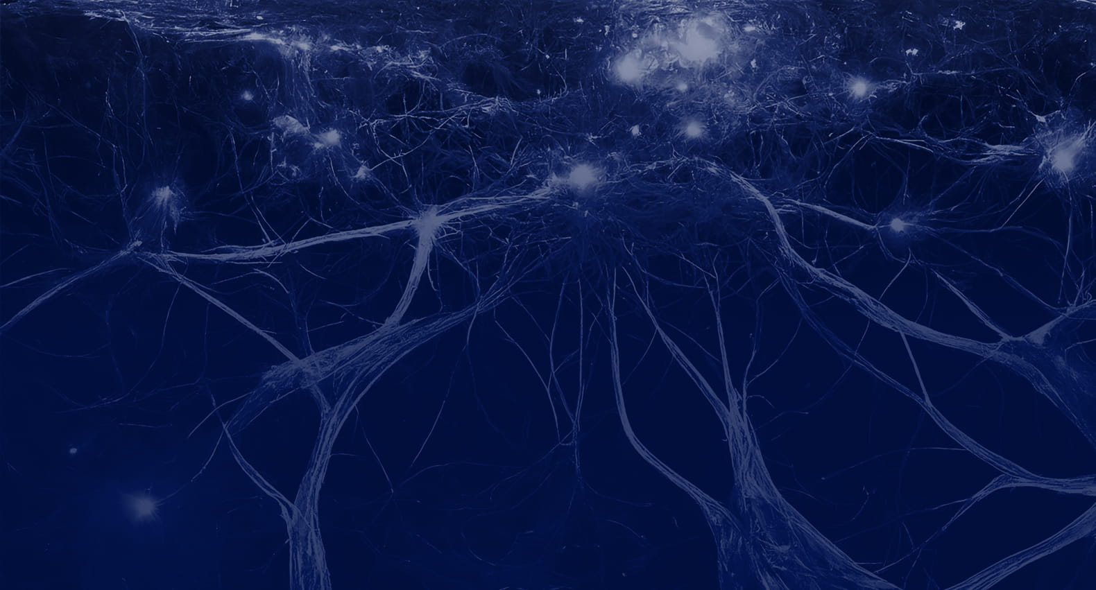 Neural network background