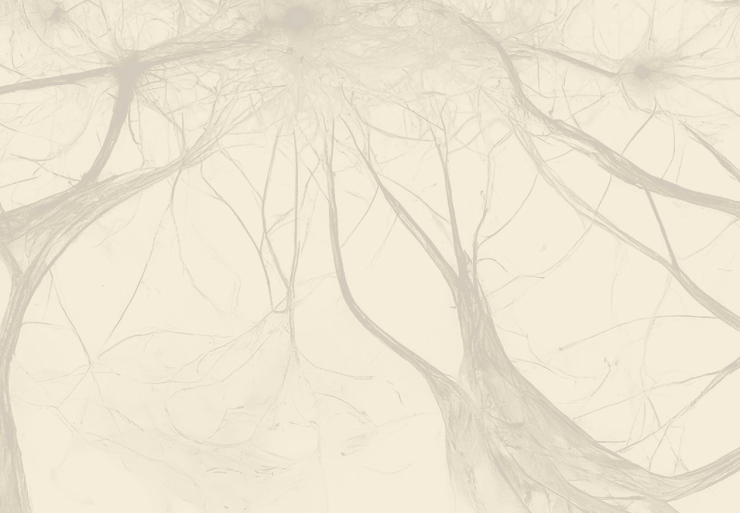 Neural network background